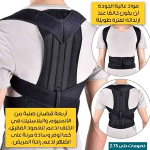 Back support belt