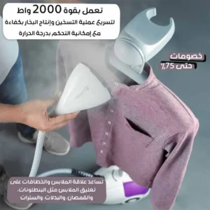 Vertical steam iron